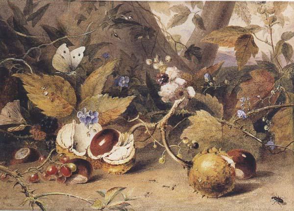 Elizabeth Byrne Still-life with horse chestnuts and insects (mk47) Sweden oil painting art